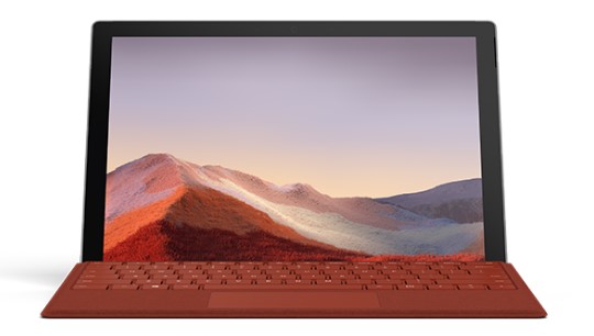 巴马清洁和维护 Surface